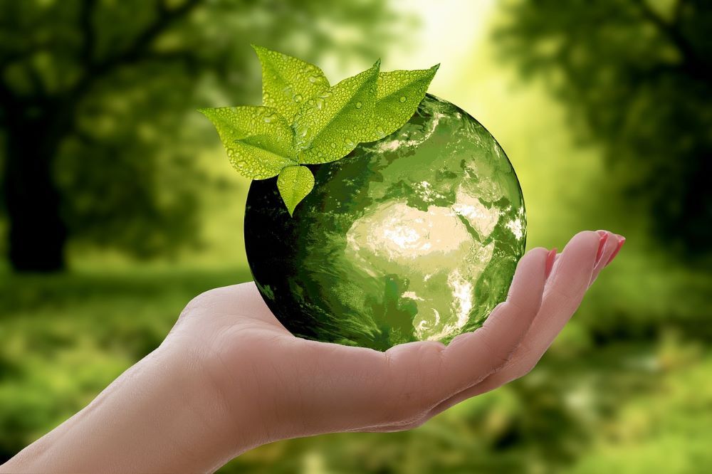 Sustainable Practices